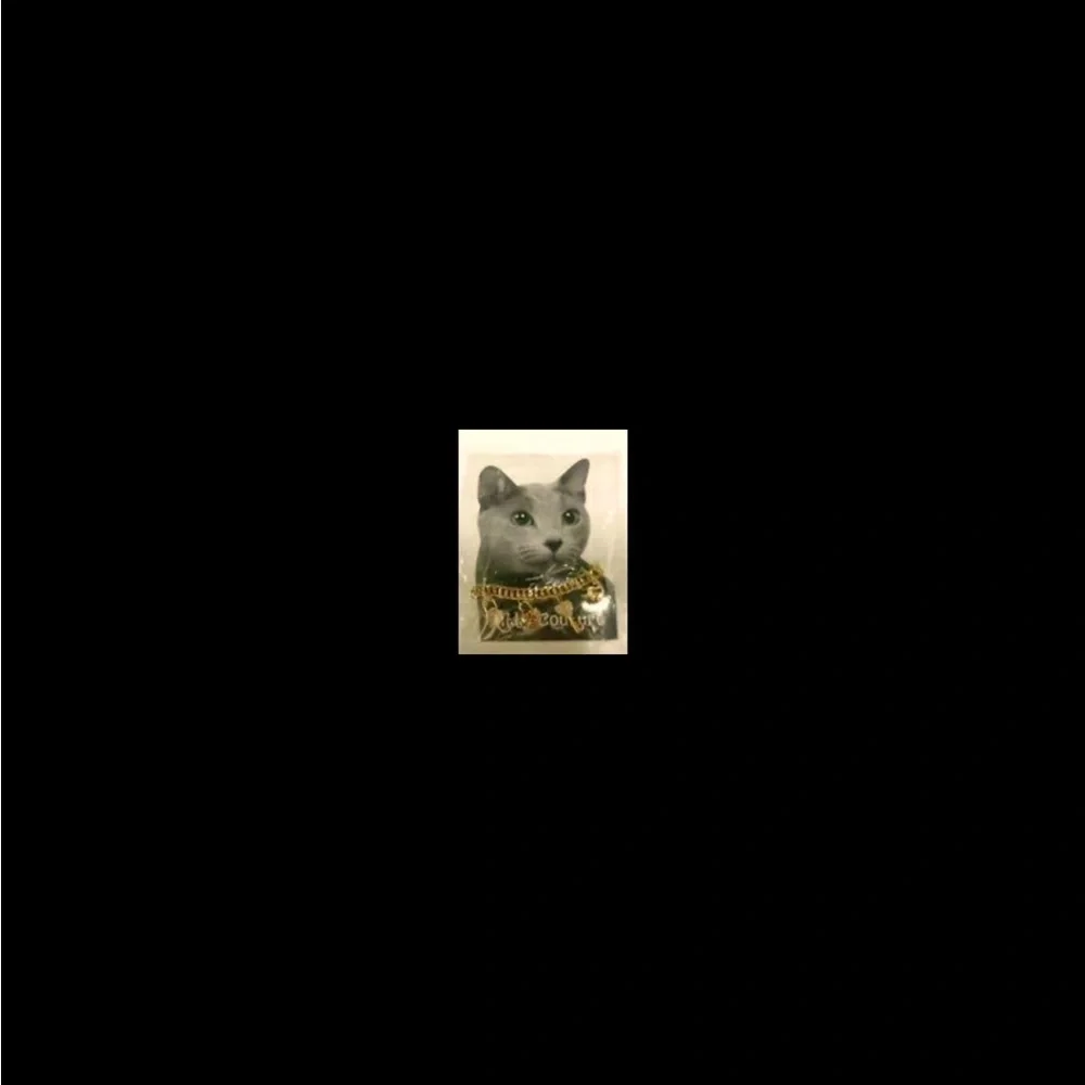 Gold Cat Collar Kitty Couture Gold Tone Chain Cat Collar NEW